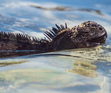 Excursão de 1 dia a Galápagos San Cristobal 360