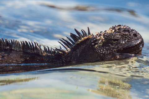 San Cristobal: Highlands, Beach, and Snorkeling Tour