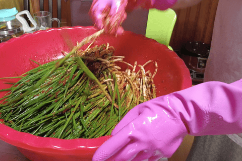 Busan: Yangsan Market Tour and Kimchi-Making Workshop