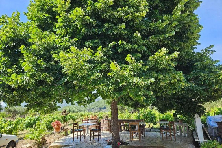 Corfu behind the scenes - A Journey Through South Corfu