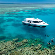 Port Douglas: Just 12 Passengers Guided Snorkel Reef Cruise
