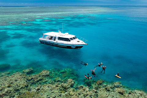 Port Douglas: Just 12 Passengers Guided Snorkel Reef Cruise