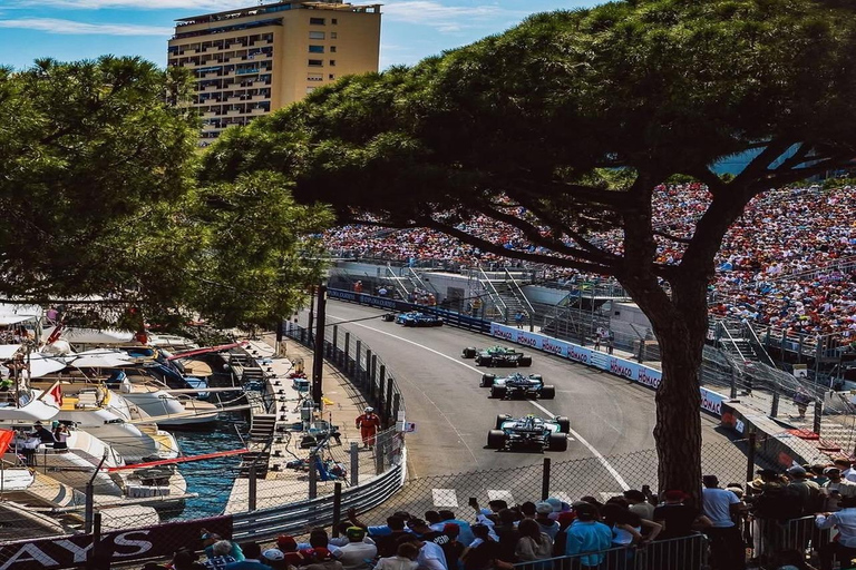 Monaco, Monte-Carlo & Eze Village Private Half-Day Tour LICENSED GUIDE + MERCEDES V