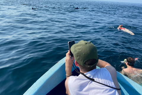 Puerto Escondido: Bootstour zu Delfinen und MeerestierenPrivate Tour