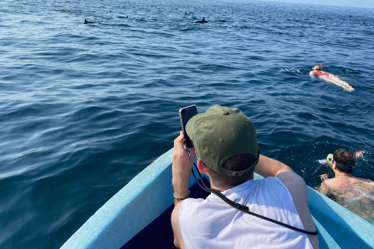 Puerto Escondido: Bootstour zu Delfinen und MeerestierenPrivate Tour