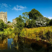 Shore Tour from Cork: Blarney, Kinsale & Cork Shore Tour from Cork: Blarney, Kinsale & Cork