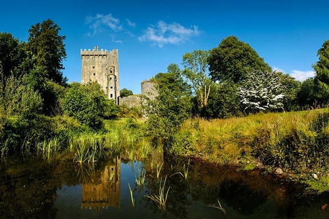Morning Blarney Castle & Kinsale Half Day Tour from Cork