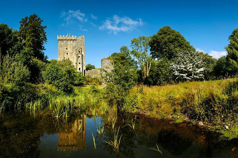 Morning Blarney Castle & Kinsale Half Day Tour from Cork
