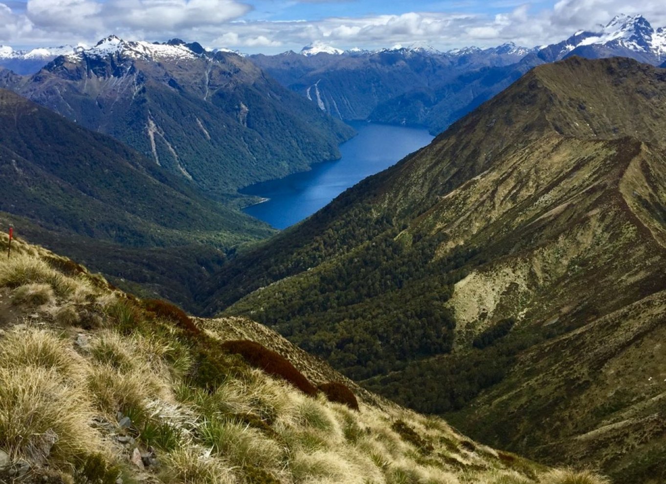 Te Anau: 30 minutters rundflyvning i Fiordland National Park