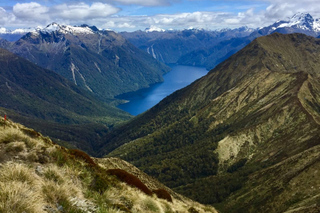 Visites en avion à Te Anau