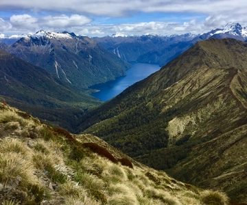 Te Anau: 30-Minute Fiordland National Park Scenic Flight