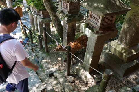 Nara: Tour a pie de medio día por el Patrimonio de la UNESCO y la Cultura Local