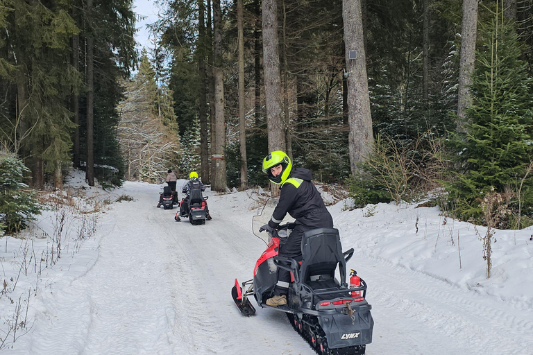 ATV or Snowmobile ride in the mountains from Bucharest