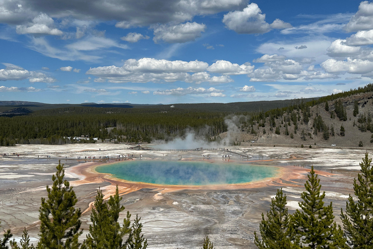 From Bozeman: Classic Yellowstone Tour (2 Days & 1 Night)