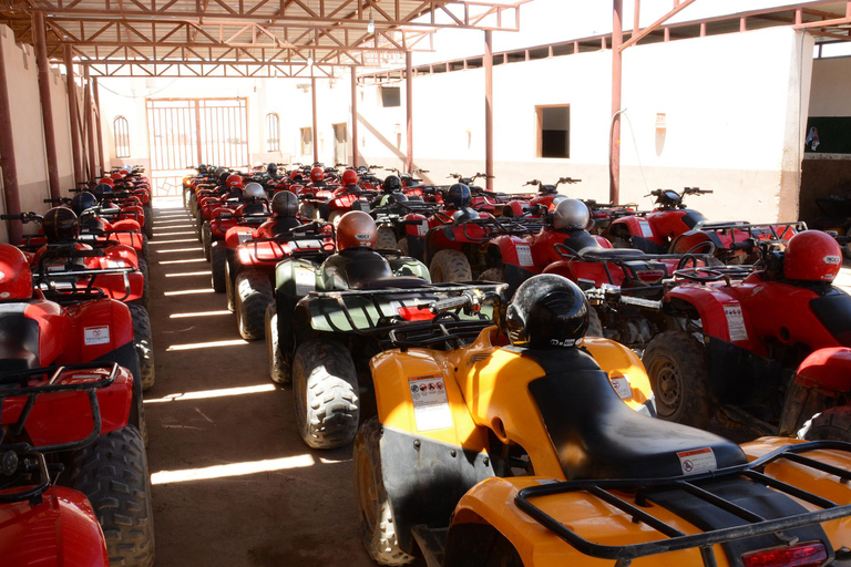 Baía de Makadi: Aventura de quadriciclo e quadriciclo ao pôr do sol e vista para o marPôr do sol 2H Quad e vista para o mar - da Baía de Makadi