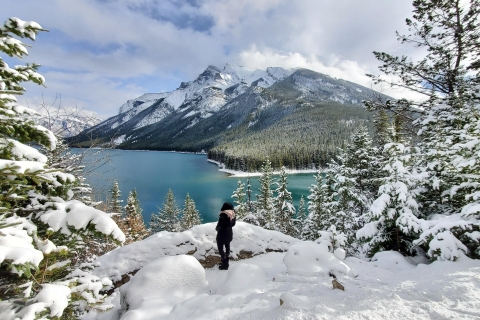 Découvrez le parc national de Banff - Excursion d'une journée