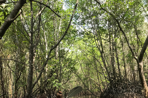 Ko Lanta: Halve Dag Tour EXPLORE MANGROVE per KAYAKING Tour