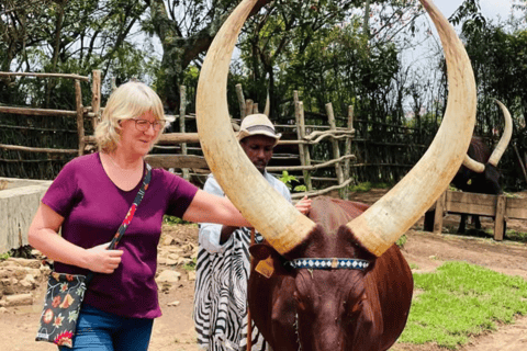 From Kigali: 3-Day Nyungwe Forest National Park Tour