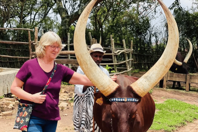 From Kigali: 3-Day Nyungwe Forest National Park Tour