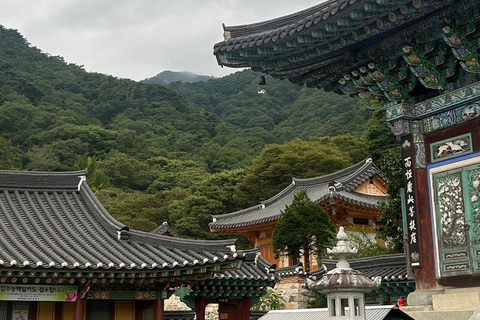 سيول: تجربة &quot;جانغ&quot; الكورية ورحلة صحية مع عشاءيانغبيونغ: تجارب الذواقة والعافية في يوم واحد.