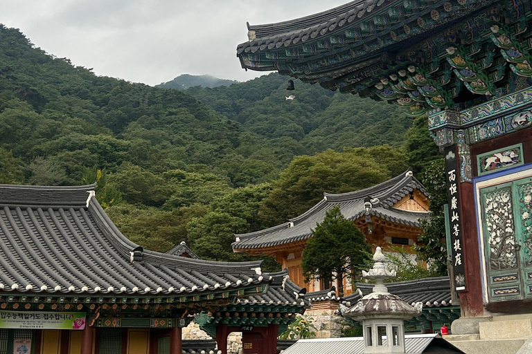 سيول: تجربة &quot;جانغ&quot; الكورية ورحلة صحية مع عشاءيانغبيونغ: تجارب الذواقة والعافية في يوم واحد.