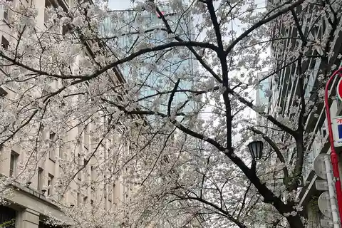 Tokyo Tour with Private Vehicle and English Speaking Guide