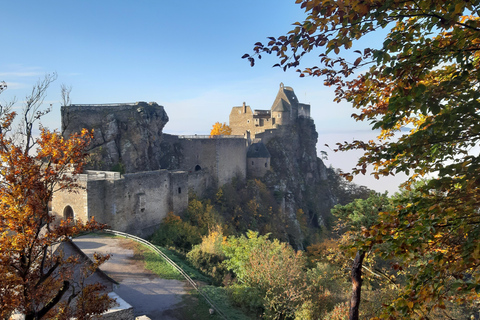 Aggstein Castle Ruins: Admission to the medieval castle complex
