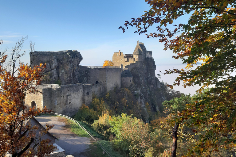 Aggstein Castle Ruins: Admission to the medieval castle complex