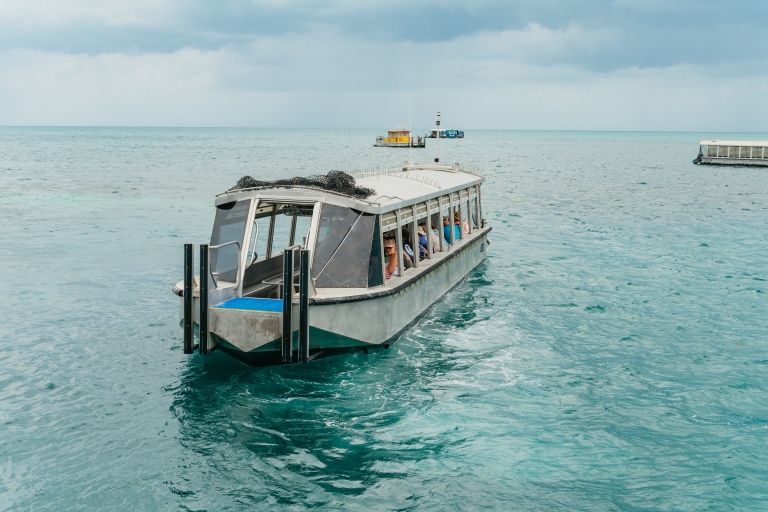 Cairns: excursion d'une journée avec tuba en bateau à fond de verreTour semi-sous-marin
