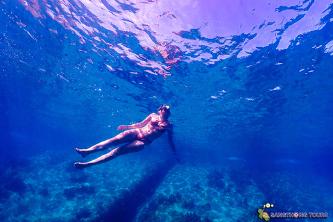 Koh Tao: Excursão de um dia com mergulho com snorkel nas ilhas e almoçoKoh Tao: Ilhas Snorkeling Destaques Day Tour &amp; Almoço