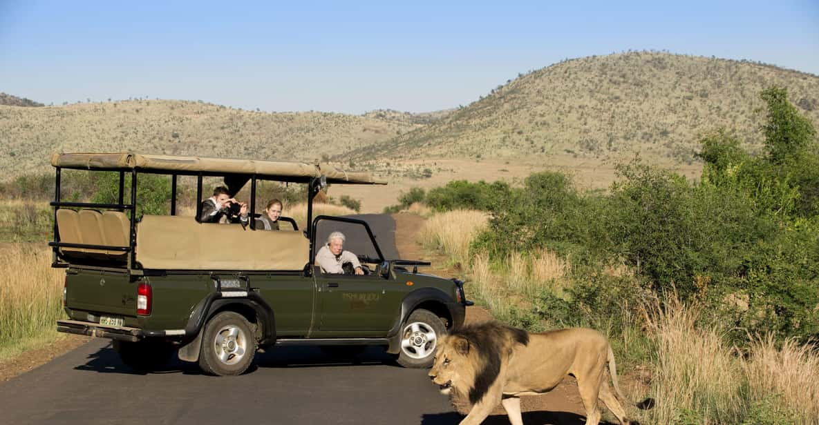 Kruger Park Scheduled Full day Safari Drive from Hoedspruit | GetYourGuide