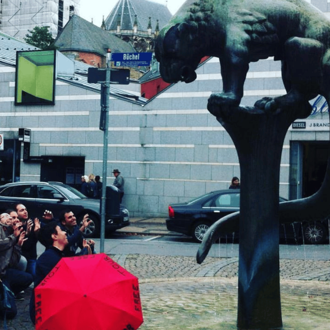 Galería de fotos para redes