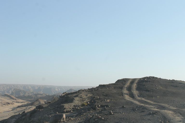 Swakopmund: Namib Desert Sunrise, Seals & Sandwich Harbour