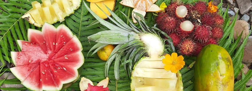 Bukit Lawang : Excursion d'une journée dans la jungle avec trekking et rafting