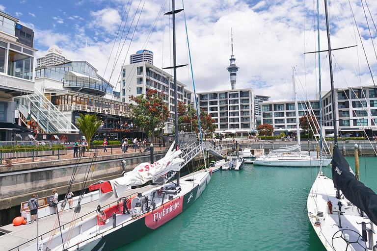 Auckland : visite ultime de la ville et de la côte ouest d&#039;Auckland, déjeuner comprisAuckland : visite complète de la ville d&#039;Auckland et de la côte ouest, déjeuner compris