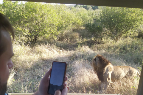 Excursión Kruger y Pano de 5 días con todo incluido desde JHB