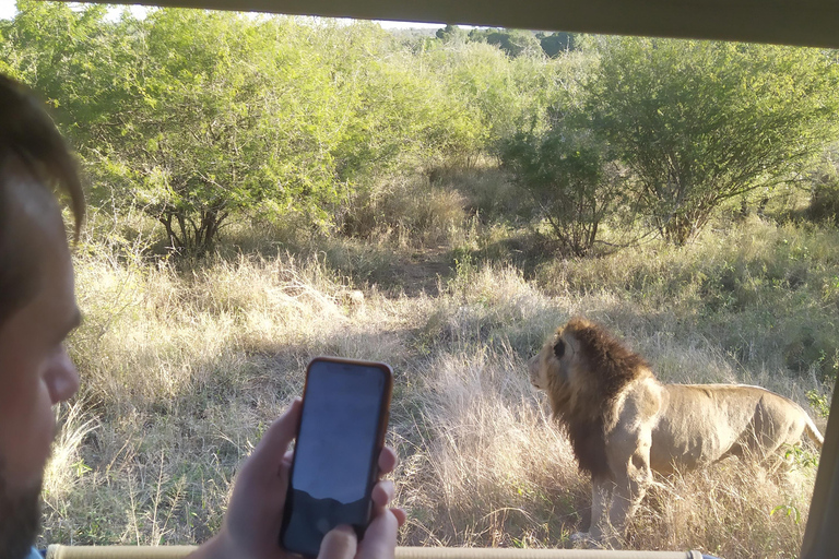 Excursión Kruger y Pano de 5 días con todo incluido desde JHB