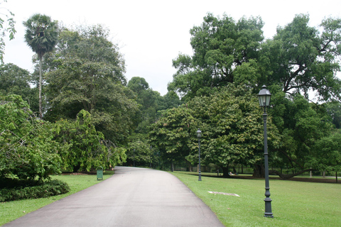 Cingapura: Excursão particular com um guia localPasseio de 3 horas