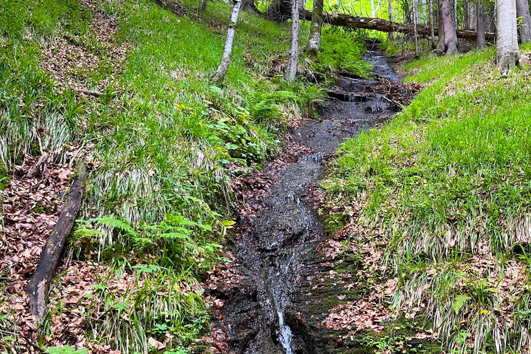 Watervallen Tour vanuit Sarajevo: Wandeling en Bosnische Lunch