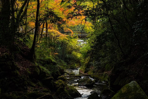 Kyoto: Kurama Onsen Entry Ticket with Set Meal Onsen Full Set＋Yuba Shabu Yudofu Set Meal