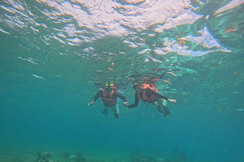 Cancun: Morze i dżungla - prywatna wycieczka do Puerto Morelos