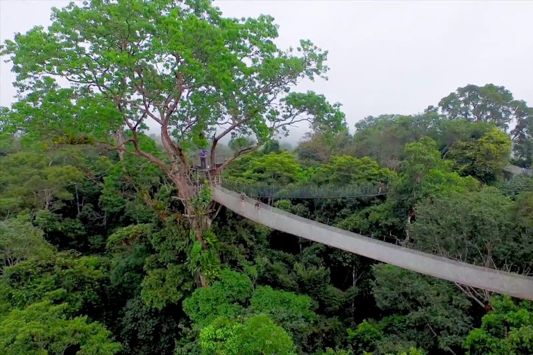 Puerto Maldonado - Aventure dans la jungle