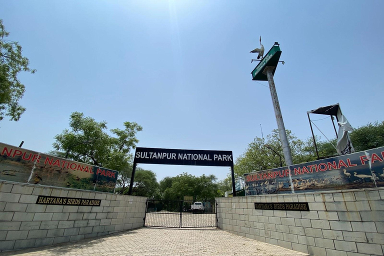 Desde Nueva Delhi: Excursión de un día en coche al Parque Nacional de Sultanpur