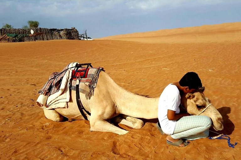 Muscat: Sharing Desert, Wadi Bani Khalid, & Bedouin Tour