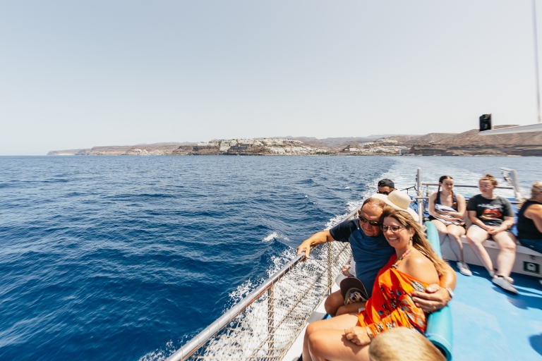 Gran Canaria: boottocht dolfijnspotten3 uur durende boottocht dolfijnspotten, inclusief vervoer