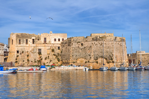 From Lecce: Galatina, Gallipoli, Nardò & Coastal Day Trip