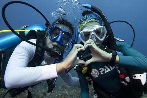 Tenerife: Privé Duiken - Gecertificeerd Instructeur &amp; Foto&#039;s