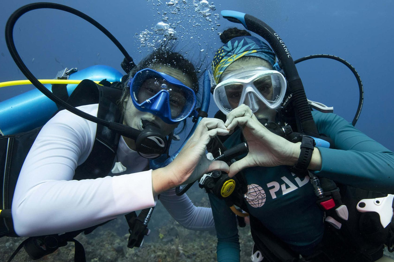 Tenerife: Privé Duiken - Gecertificeerd Instructeur &amp; Foto&#039;s