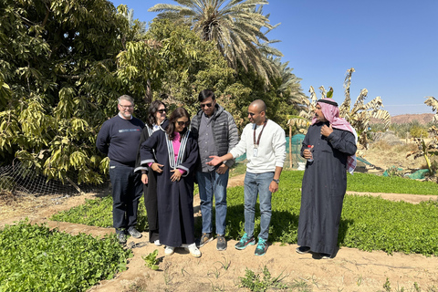 AlUla Solo Explorer: Private Cultural Highlights Tour