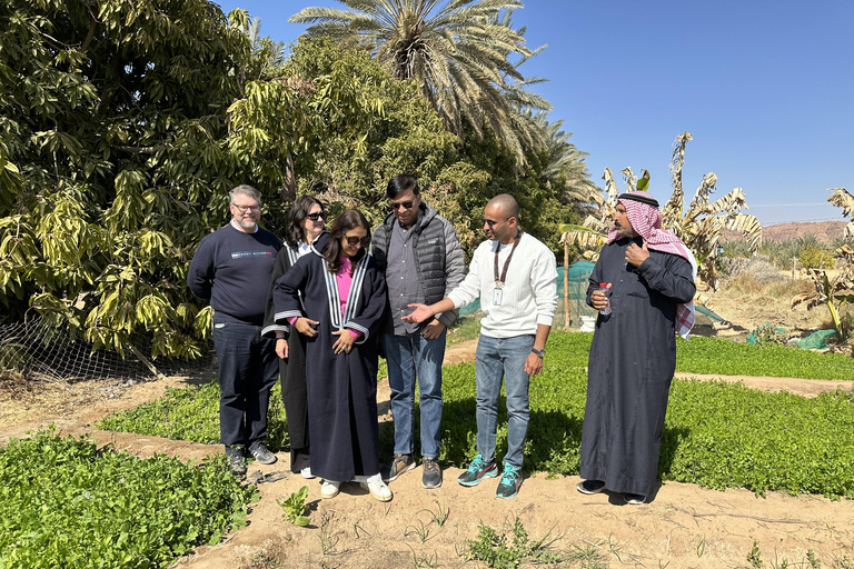 AlUla Solo Explorer: Private Cultural Highlights Tour